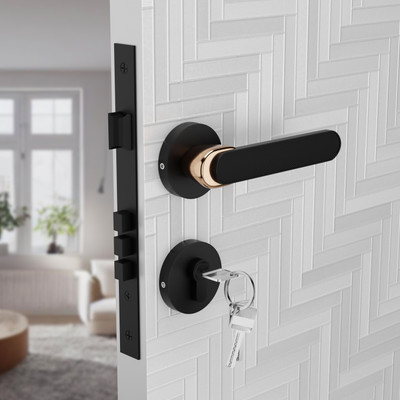 Medellin Zinc Alloy Matte, Polished Door levers(Multicolor)