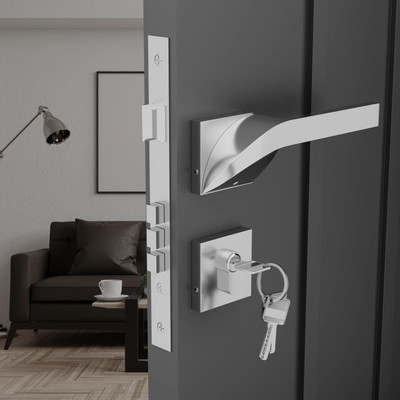 Medellin Zinc Alloy Matte Door levers(Silver)
