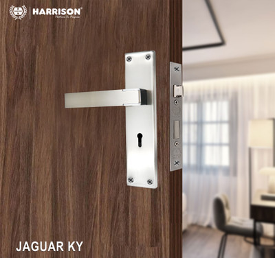 HARRISON Steel Matte Handlesets(Silver)