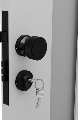 Medellin Brass, Zinc Alloy Matte, Polished Door levers(Black)