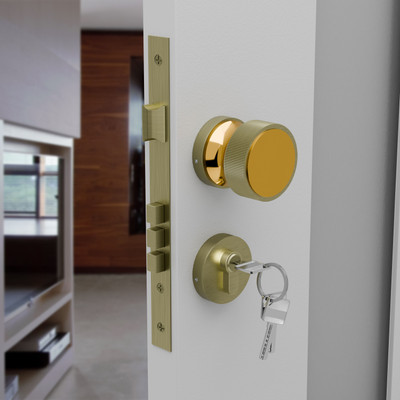 Medellin Brass, Zinc Alloy Matte, Polished Door levers(Yellow, Gold)