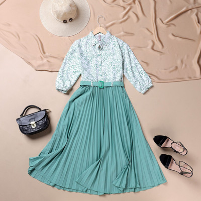 ZWERLON Women Fit and Flare Light Green Midi/Calf Length Dress
