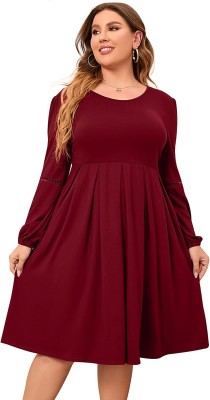 Tashvika's Women Fit and Flare Maroon Dress