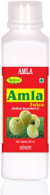 Biogreen Healthcare Amla Juice(500 ml)