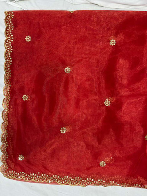 Var Vadhu Net Embroidered Women Dupatta