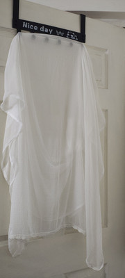 Elenora Chiffon Embellished Women Dupatta