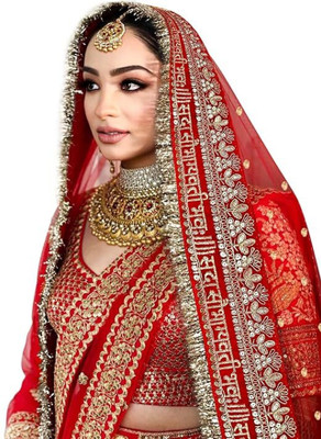 kaevion Net Self Design Women Dupatta