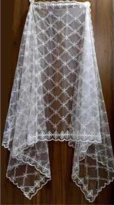 Nakoda Creation Net Embroidered Women Dupatta