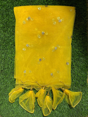 Sdvarshafashion Net Embellished Women Dupatta