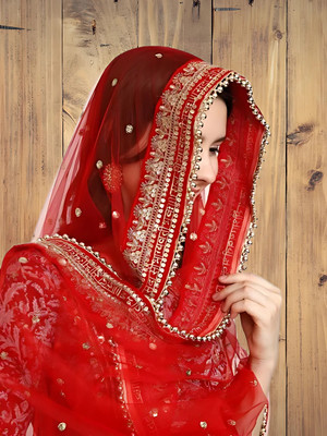 Adhya Net Embroidered Women Dupatta