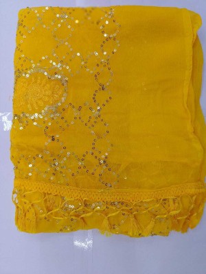 Bansi Ecom Chiffon Embroidered Women Dupatta