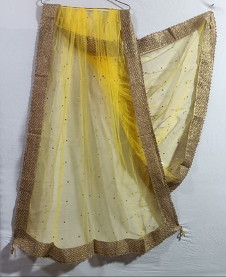 Sdvarshafashion Net Embellished Women Dupatta