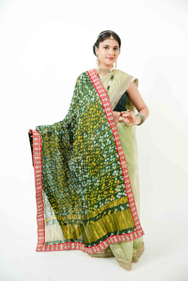 Avilhara Poly Georgette Embroidered Women Dupatta