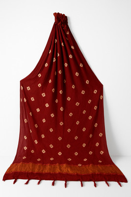 Wadhwani Pure Cotton Hand Painted Women Dupatta