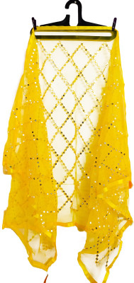 abhikart Net Embroidered Women Dupatta