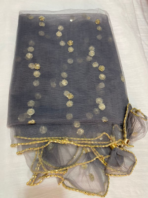 APNA KAPDA BAZAAR Net Embroidered Women Dupatta
