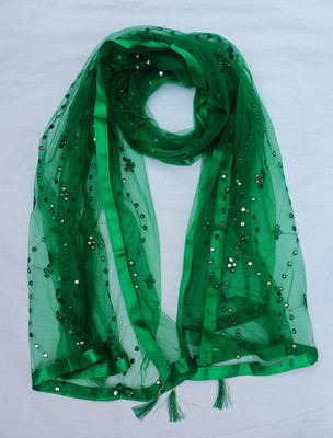 AAYAT FASHION ZONE Net Embroidered Women Dupatta