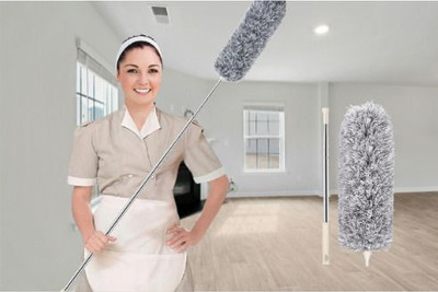 evaaenterprises Sleek fan duster Wet and Dry Duster