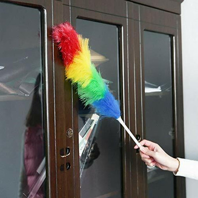 SBTs Dry Duster