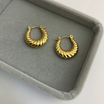 Zodiac Luxury Mini Croissant Stainless Steel Hoop Earring