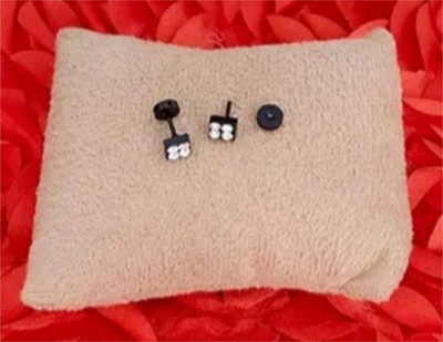 house of common Stylish Titanium Plated Studs Cubic Zirconia Stainless Steel Stud Earring