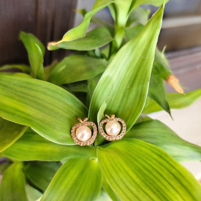Apple Shaped Studs For Women @196/- For Rs. 196 @ 76% off
