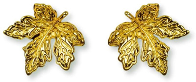 Vishriddhi MLE4 Stainless Steel Tunnel Earring, Stud Earring