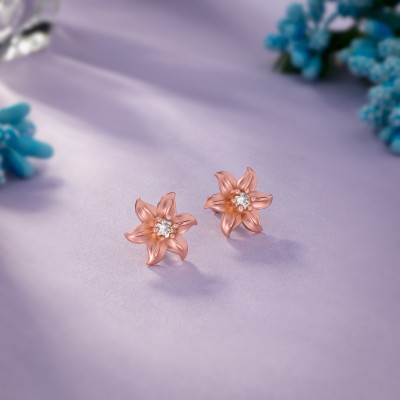 SORELLII Pair of Rose Gold Earrings with White Stones Cubic Zirconia German Silver Stud Earring