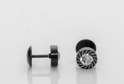 house of common Stylish Titanium Plated Studs Cubic Zirconia Stainless Steel Stud Earring