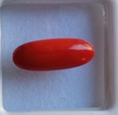 Aanya Jewels Certified Natural Italian Red Coral Capsule Moonga 4.85cts Coral Stone Plug Earring