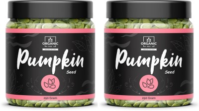 Organic Box Pumpkin Seeds for Eating, Rich in Protein & Fiber Gluten Free- 250 gm Each Pumpkin Seeds(500 g, Pack of 2)