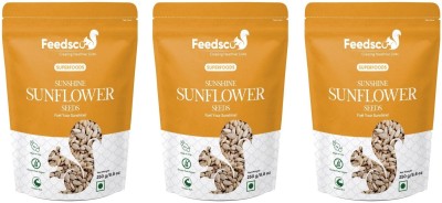 Feedsco Sunshine Sunflower Seeds | Healthy Snacks | High in Vitamin, Fibre & Protein Sunflower Seeds(750 g, Pack of 3)