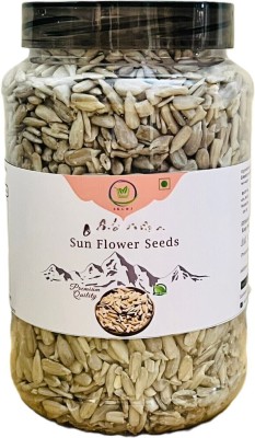 SKCRJ Premium Raw Sunflower Seeds | Rich in Protein & fiber| Sunflower Seeds Sunflower Seeds(300 g)