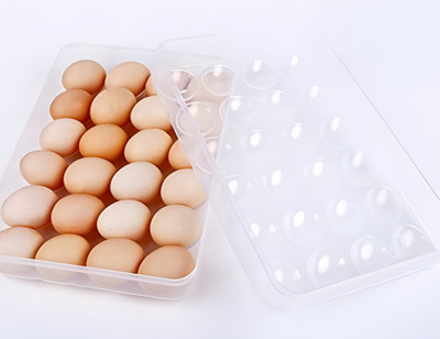 Jinila Plastic Egg Container  - 2 dozen(Clear)