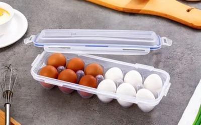 Aivc Multi Slot Egg Holder(Plastic)