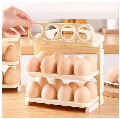 Windwarrior Plastic Egg Container  - 2 dozen(White)