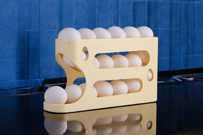 Cosy Home Make It Easy Egg holder Egg Holder(Plastic)
