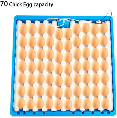 TM&W hatching roller type eggs tray 70 plastic egg tray chicken duck egg AC220V' Egg Incubator