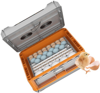 TM&W 64 drawer type full automatic humidifier incubator machine. Egg Incubator