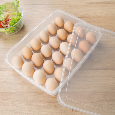 Coozico Plastic Egg Container  - 2 dozen(Clear)
