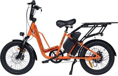 Aurita Bikes Aurita Trooper|Multi Utility Cargo Hauling Electric Cycle|Range 75 km| 20 inches Single Speed Lithium-ion (Li-ion) Electric Cycle