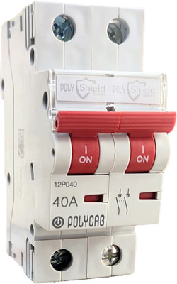 Polycab DP 40A ISOLATOR POLYSHIELD MCB(2)