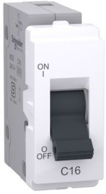 Schneider Electric 16A Mini MCB P8016 MCB(1)