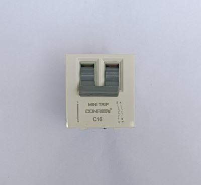 CONA Smyle Modular Mcb Type Isolator Double Pole 32A, C Type Characteristics, ISI Mark (Pack Of 1) MCB(2)