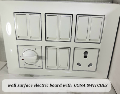 BAHUL B90yop 6 A Two Pin Socket