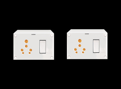 Sauran Pack of 2 6 & 16A Switch Socket Combined With Box & Indicator (EAP164.1) 16 A Six Pin Socket