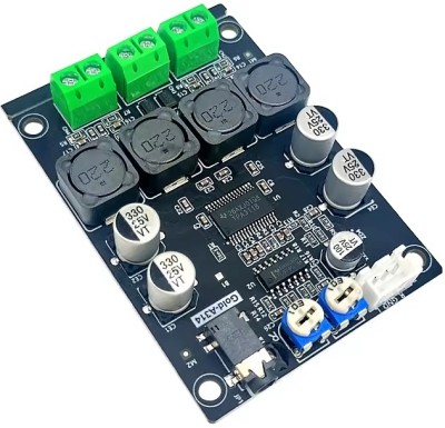 SG Flash Dual channel digital power amplifier board Gold-A314 Sound Recorder and Sound Circuit Electronic Hobby Kit