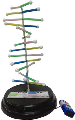 MELODY's Model of DNA - Working model for Biology Science Project Educational Electronic Hobby Kit
