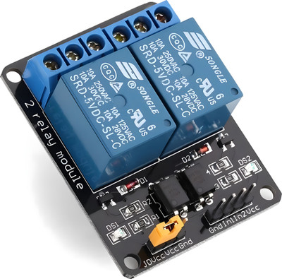 R&D 2-Channel 5V Relay Module With Optocoupler - Pack Of 1 Electronic Components Electronic Hobby Kit