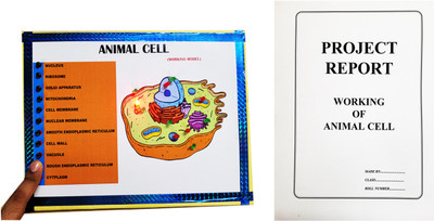 ONTEX ELECTRONICS Animal Cell Biology Working Model and Project with Printed Report Educational Electronic Hobby Kit
